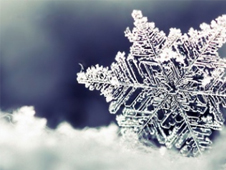 Pica Hielo